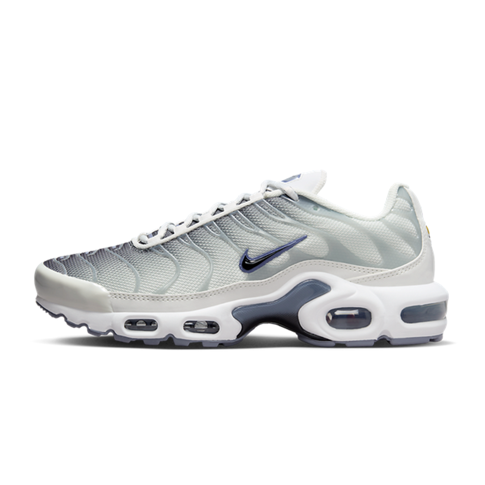 Nike air max 2025 plus tn grey