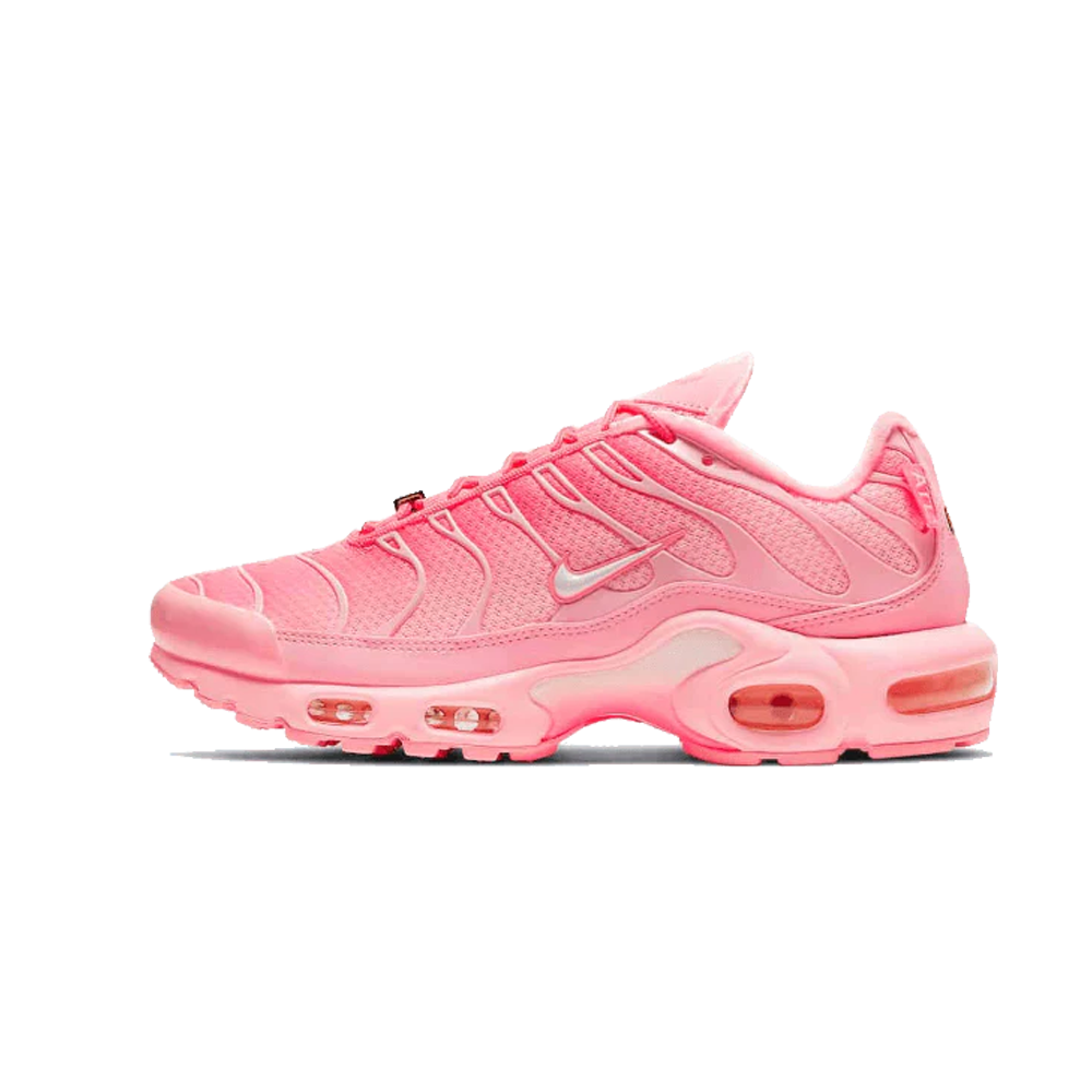 Nike-air-max-plus-tn-city-special-atlanta-sidestock