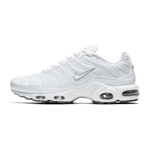 Nike Air Max Plus TN 'Casper' (604133-139)