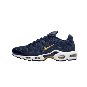 Nike Air Max Plus TN 'France Football Association' (FB3350-400)
